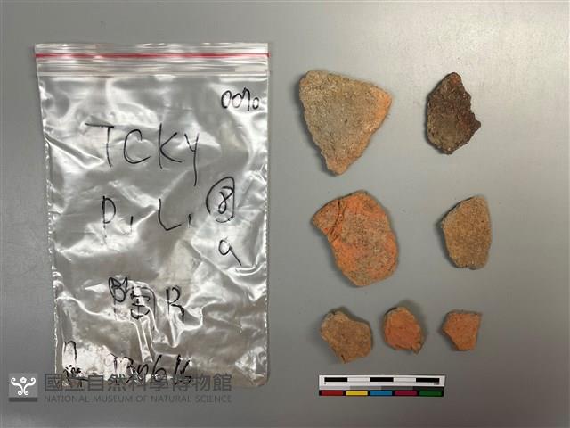 陶片藏品圖，第2張