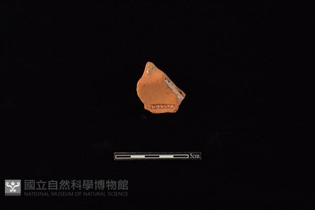 連杯藏品圖，第2張