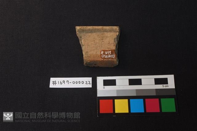陶片藏品圖，第2張