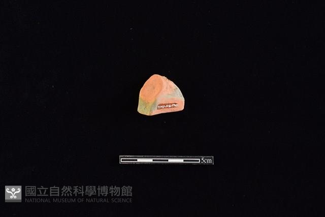 連杯藏品圖，第2張