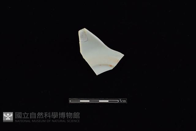 盤藏品圖，第2張