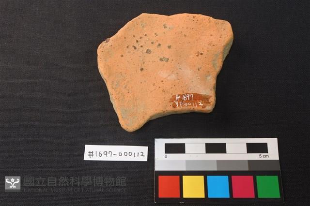 陶片藏品圖，第2張
