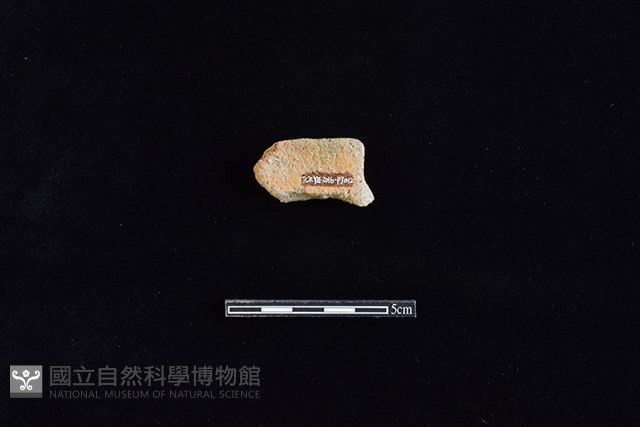 陶片藏品圖，第2張