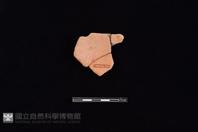 陶片藏品圖，第2張