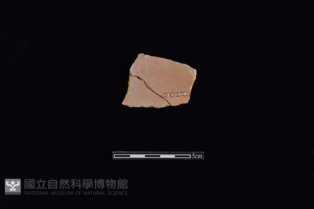 硬陶片藏品圖，第2張