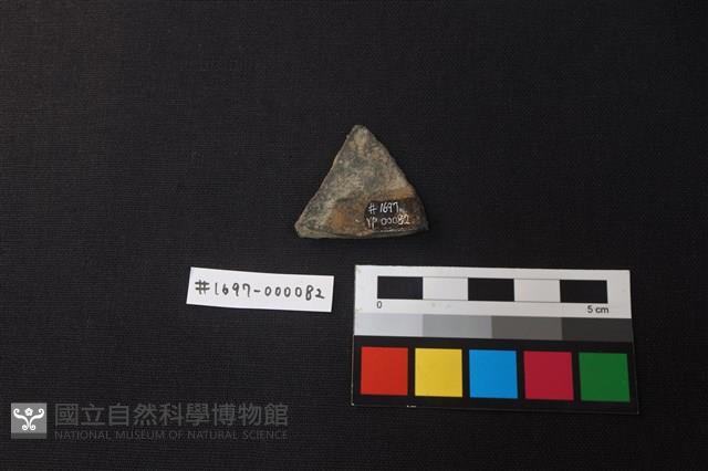 陶片藏品圖，第2張