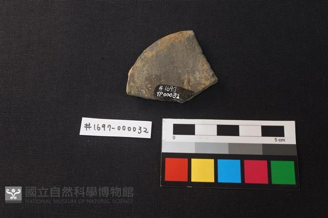 陶片藏品圖，第2張
