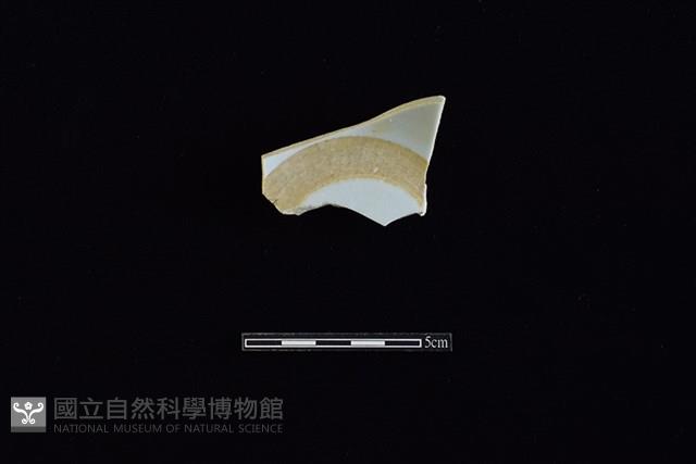 瓷片藏品圖，第2張