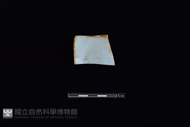 瓷片藏品圖，第2張