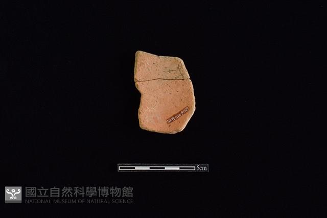 陶片藏品圖，第2張