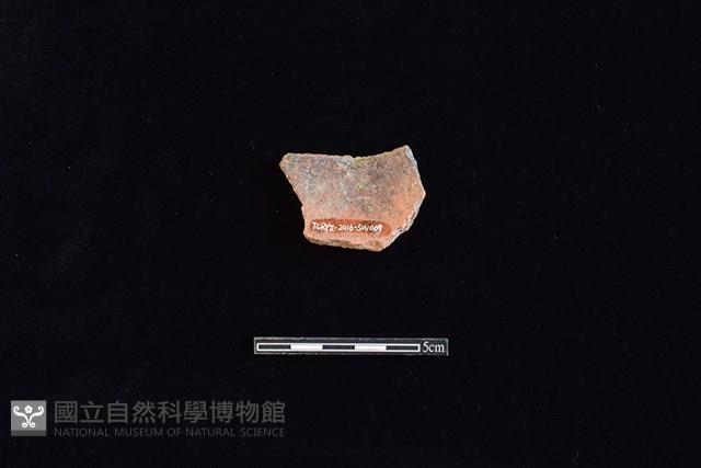 硬陶片藏品圖，第2張