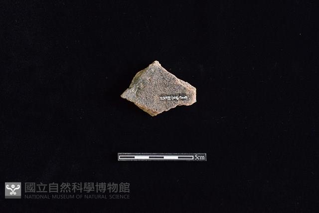 硬陶片藏品圖，第2張