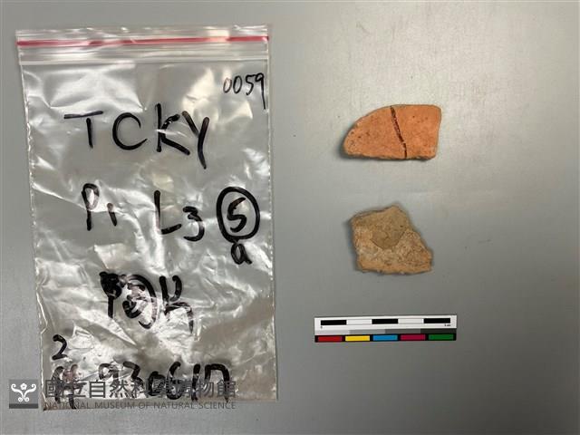 陶片藏品圖，第2張