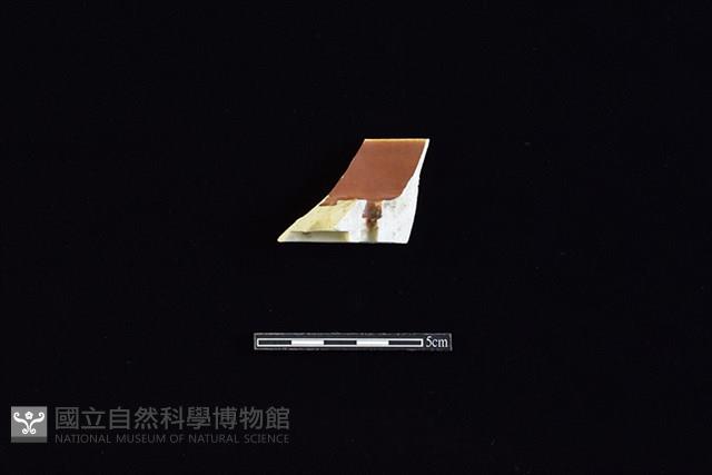 瓷片藏品圖，第2張