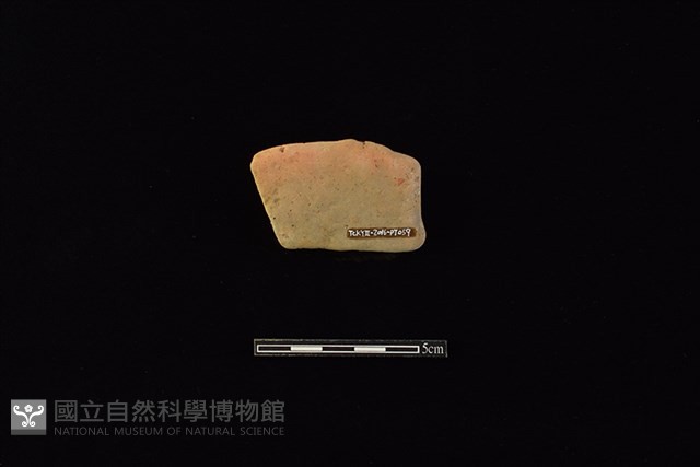 連杯藏品圖，第2張
