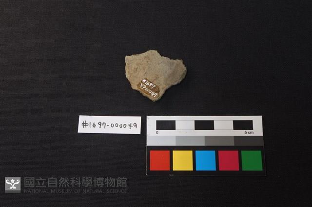 陶片藏品圖，第2張