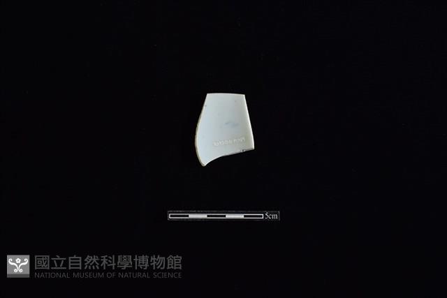 碗藏品圖，第2張