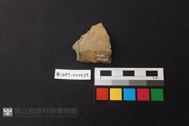 陶片藏品圖，第2張