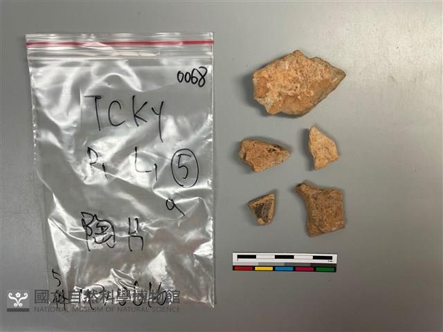 陶片藏品圖，第2張