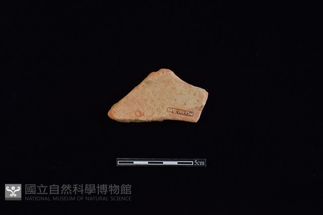 陶片藏品圖，第2張