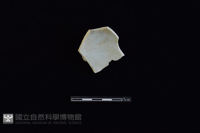 瓷片藏品圖，第2張