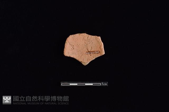 陶片藏品圖，第2張