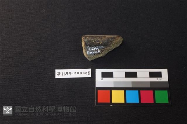 陶片藏品圖，第2張