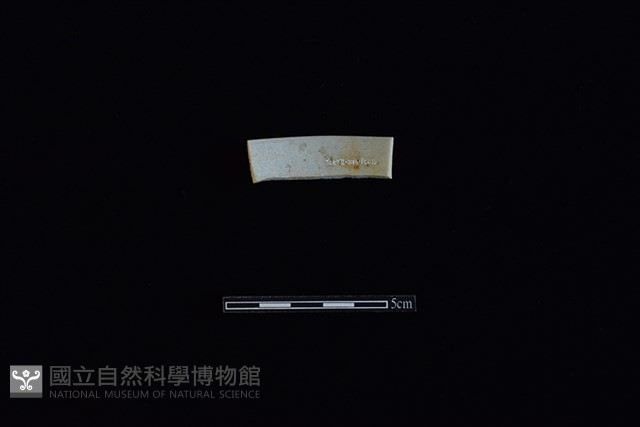 碗藏品圖，第2張