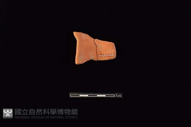 陶片藏品圖，第2張