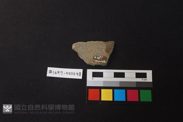 陶片藏品圖，第2張