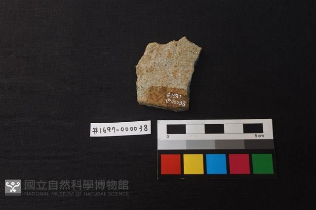 陶片藏品圖，第2張