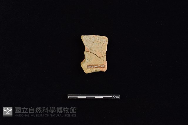 陶片藏品圖，第2張