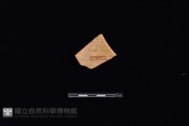 硬陶片藏品圖，第2張