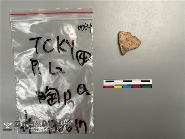 陶片藏品圖，第2張