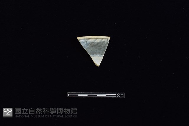 盤藏品圖，第2張