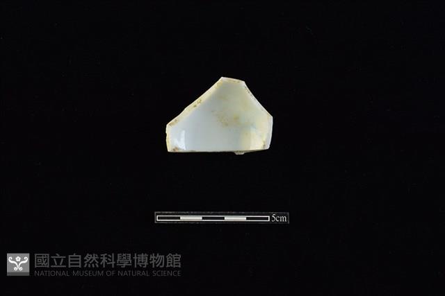 杯藏品圖，第2張