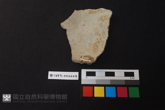 陶片藏品圖，第2張