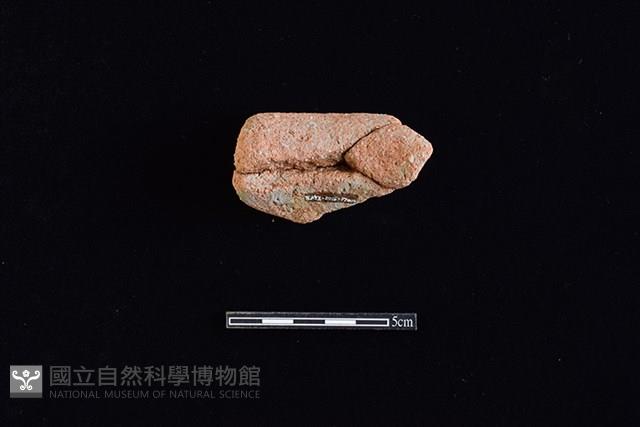 陶罐藏品圖，第2張