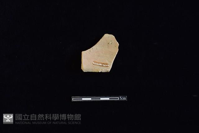 硬陶片藏品圖，第2張