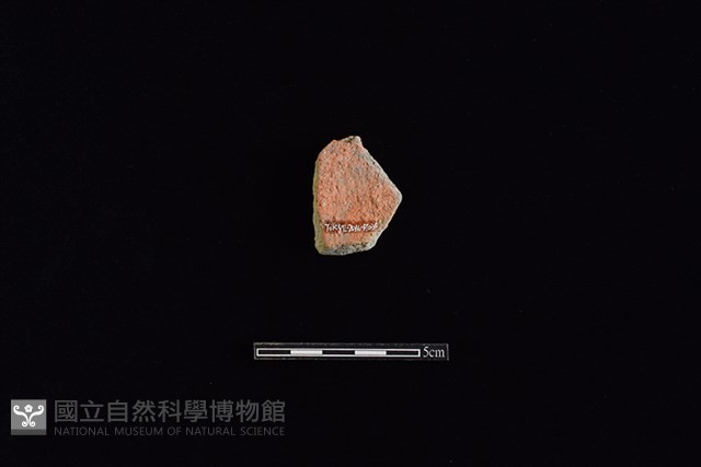 陶片藏品圖，第2張