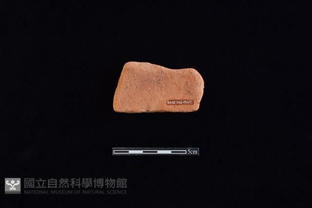 陶片藏品圖，第2張