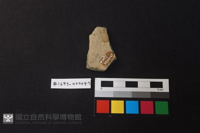 陶片藏品圖，第2張