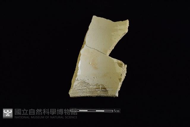 瓷片藏品圖，第2張