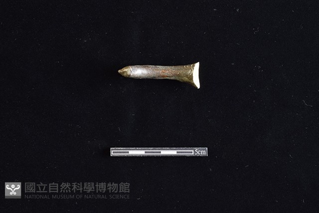湯匙藏品圖，第2張