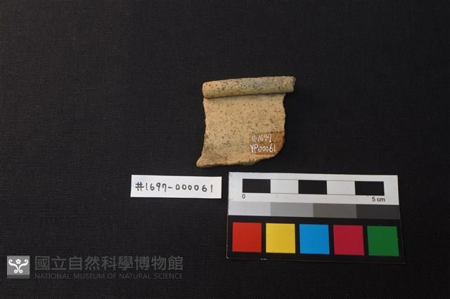 陶片藏品圖，第2張