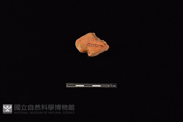 連杯藏品圖，第2張