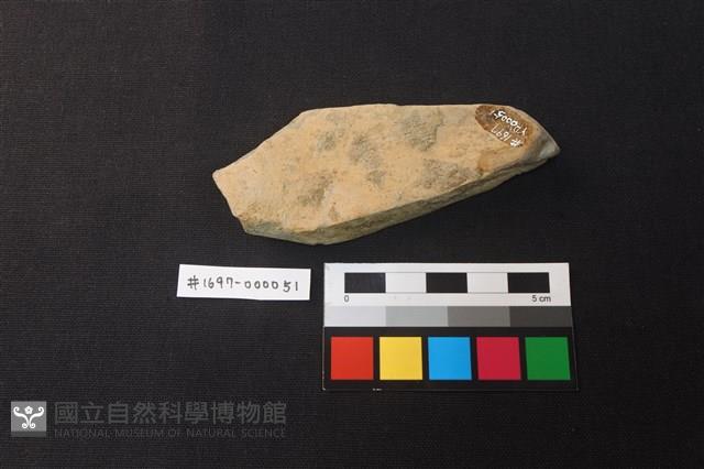 陶片藏品圖，第2張