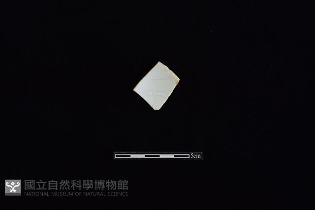 碗藏品圖，第2張