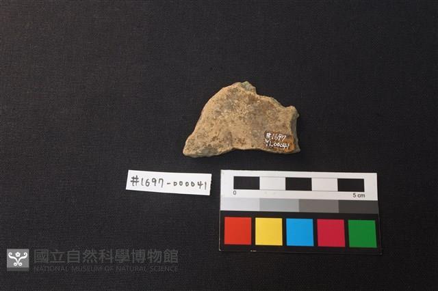 陶片藏品圖，第2張