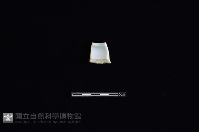 瓷片藏品圖，第2張